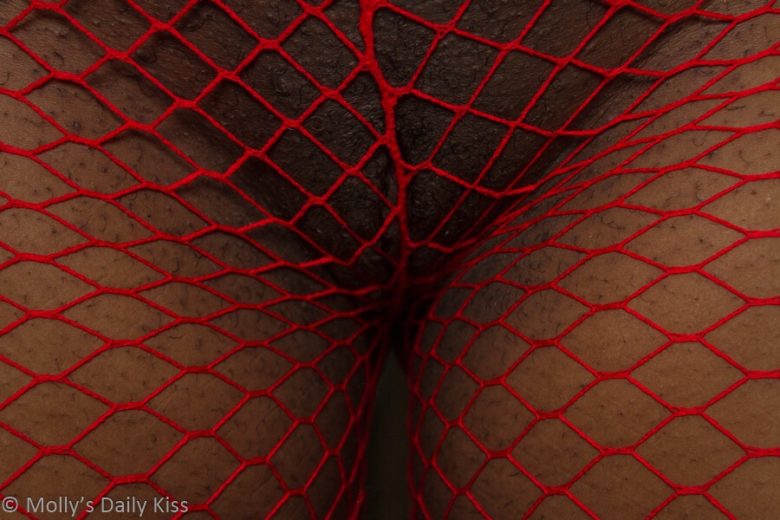 Cara's hairy thighs in red fishnets