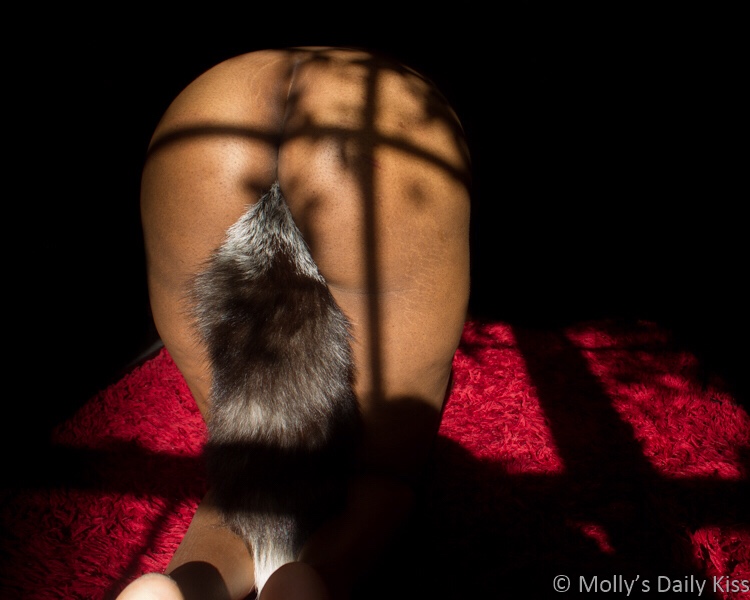A view of Cara kneeling, bum to the camera, brown tail with a white tip on in post titled Bushy Tailed